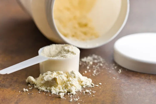 Protein Powder Every Day After 50: Benefits & Risks